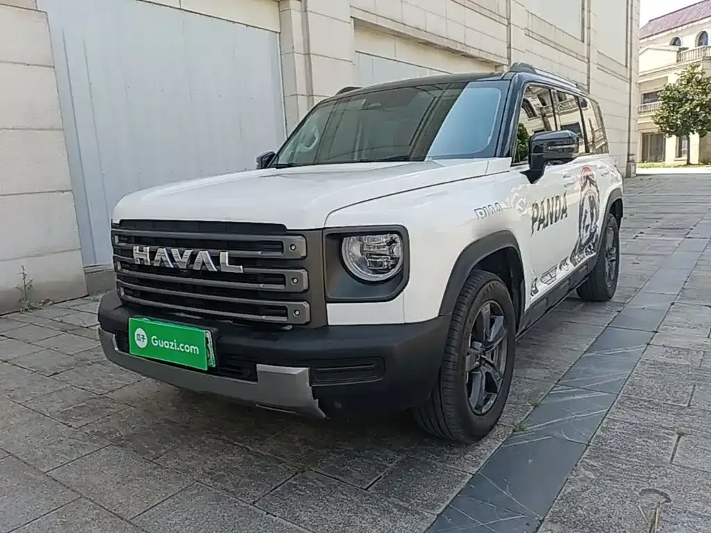 Haval Menglong New Energy — фото 4