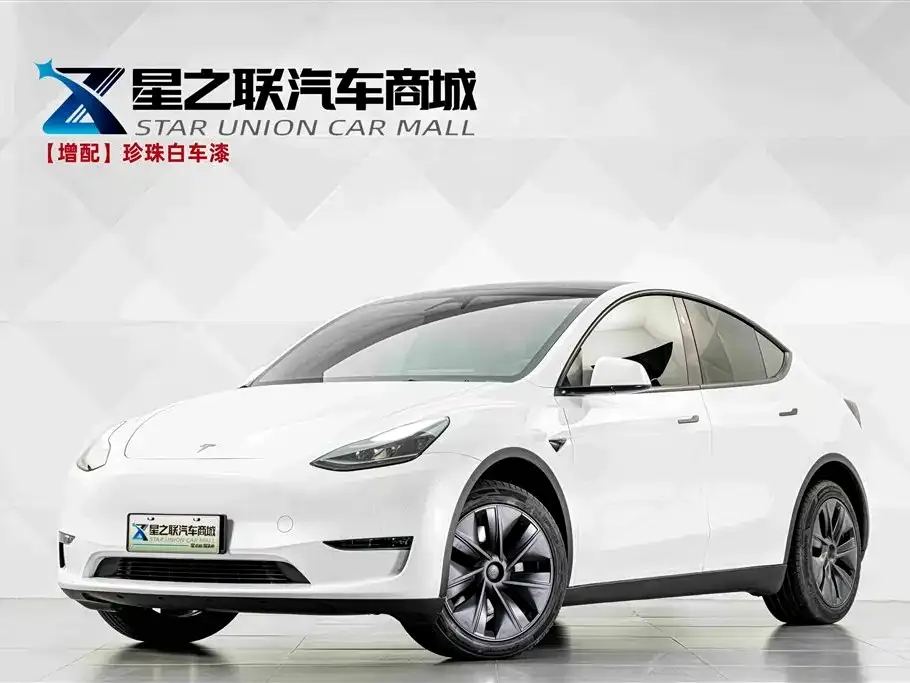 Tesla Model Y — фото 1