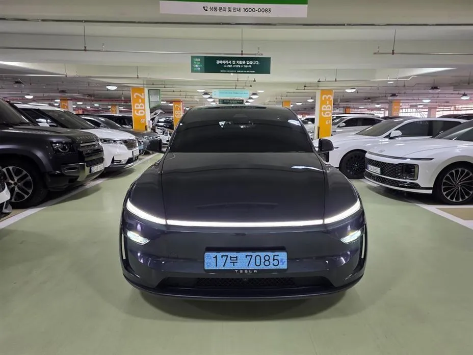 Tesla Model Y — фото 1