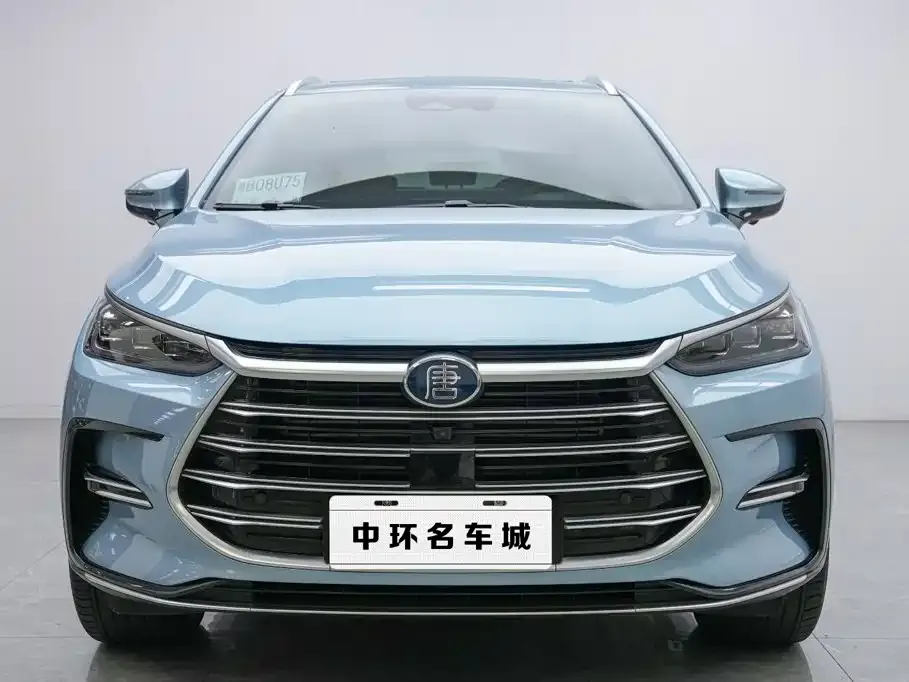 BYD Tang New Energy — фото 2