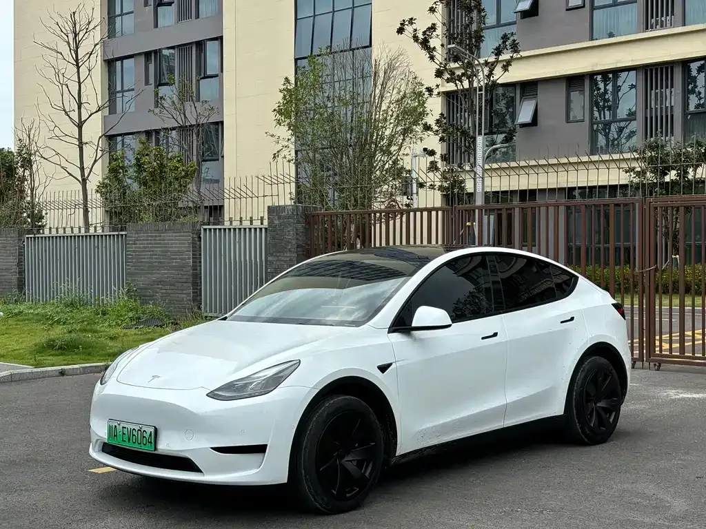 Tesla Model Y — фото 1
