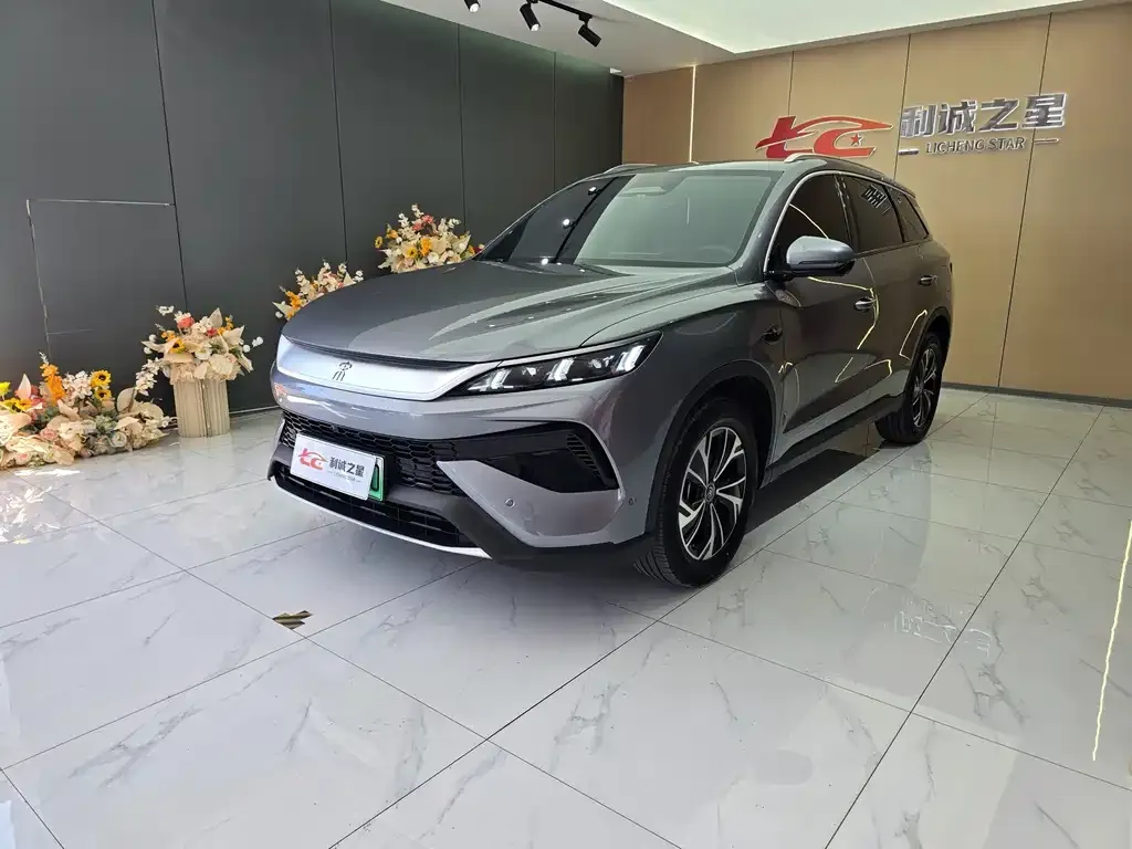 BYD Pro New Energy — фото 1