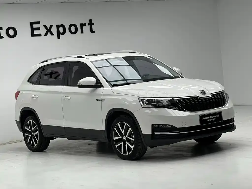 Skoda Kamiq — фото 6