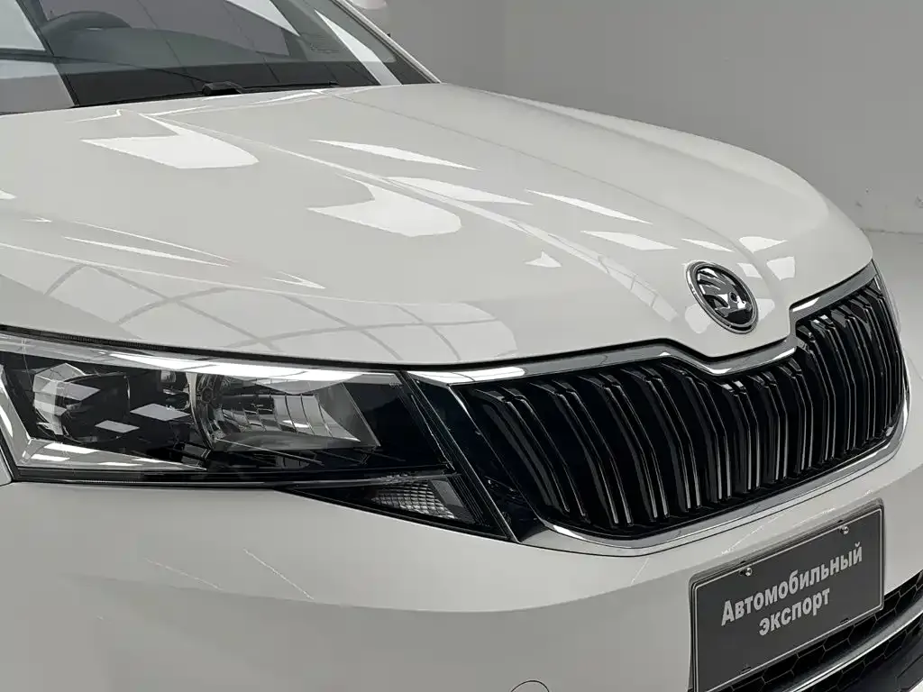 Skoda Kamiq — фото 8