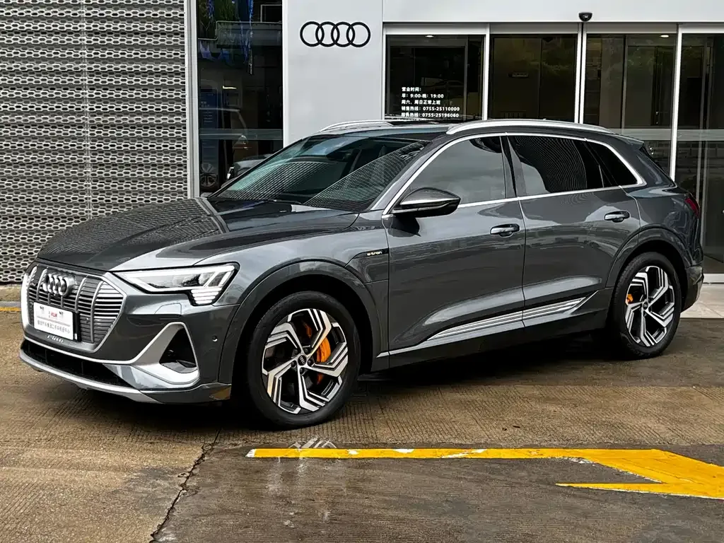 Audi e-tron — фото 1