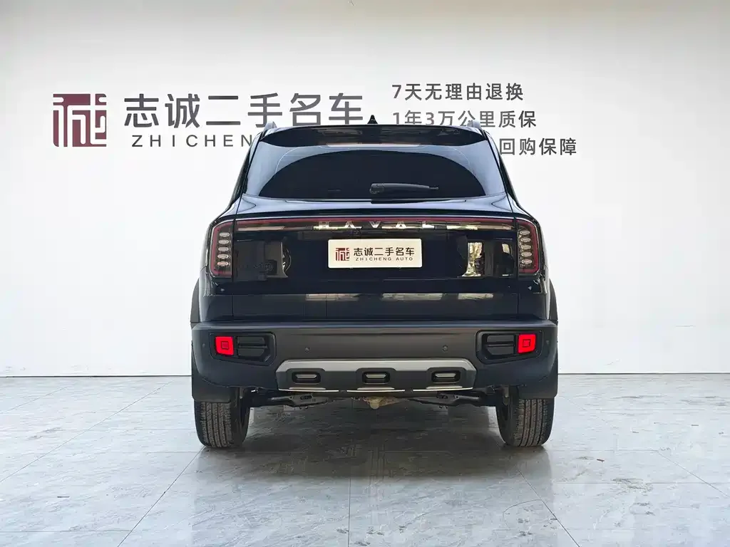 Haval Big Dog — фото 6
