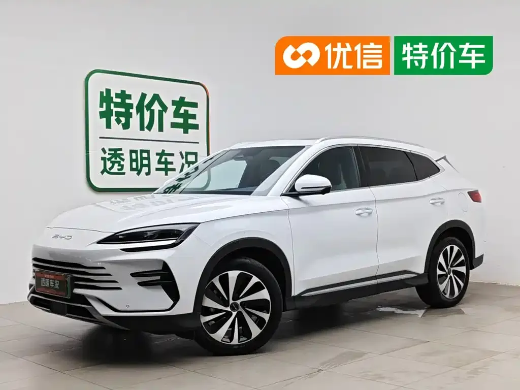 BYD PLUS New Energy — фото 1