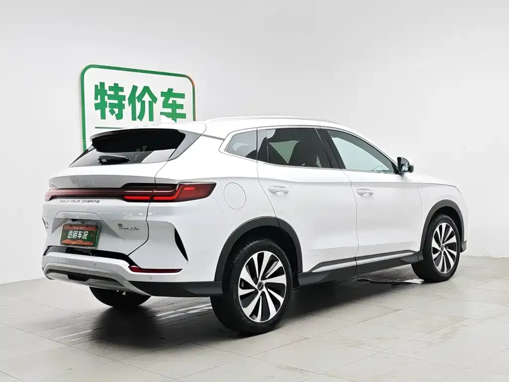 BYD PLUS New Energy — фото 8