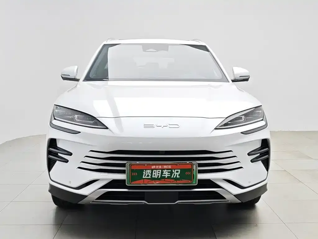 BYD PLUS New Energy — фото 4