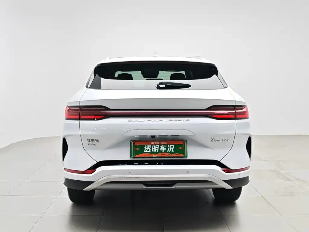 BYD PLUS New Energy — фото 6
