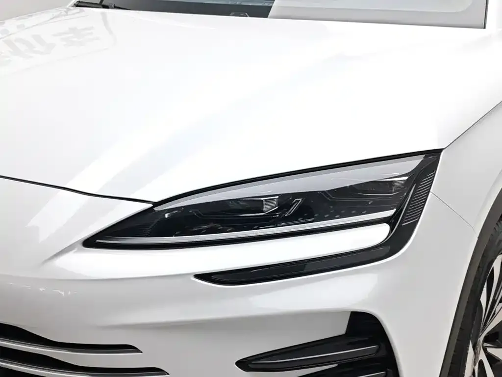 BYD PLUS New Energy — фото 3