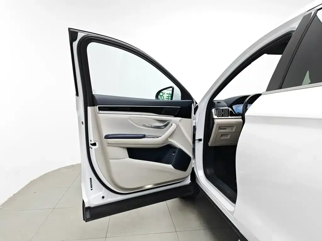 BYD PLUS New Energy — фото 7