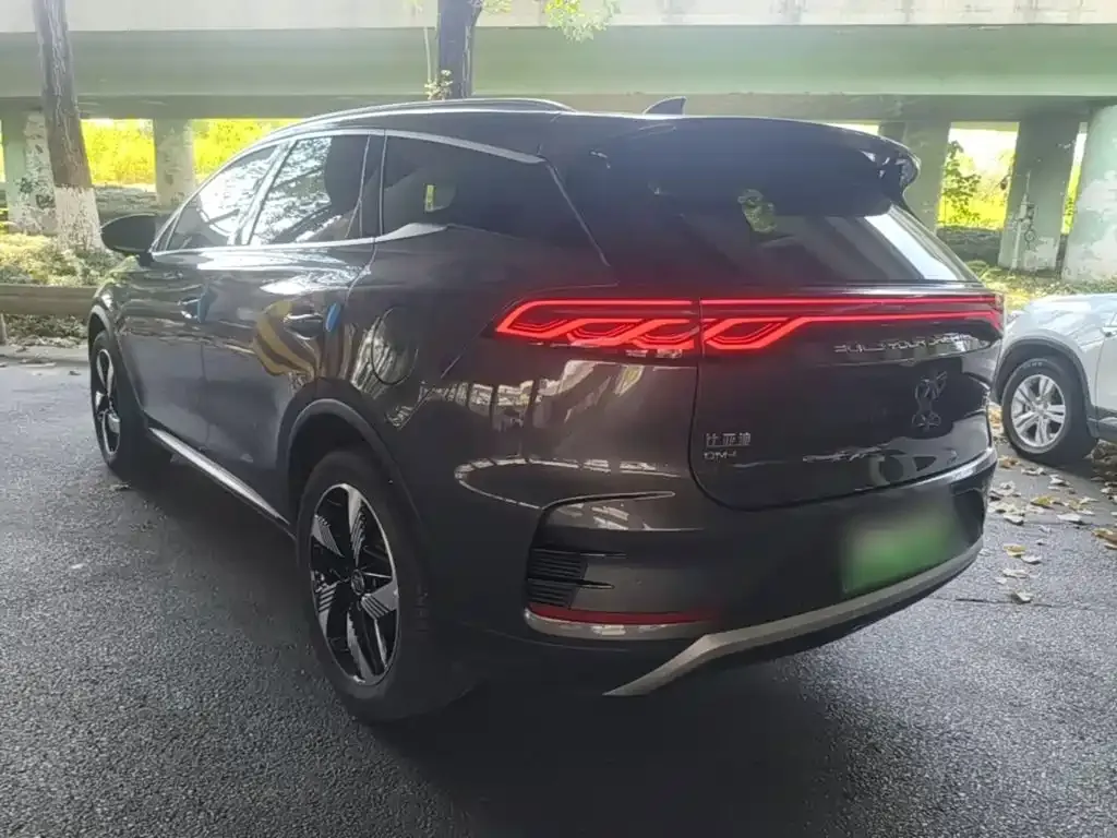 BYD Tang New Energy — фото 10