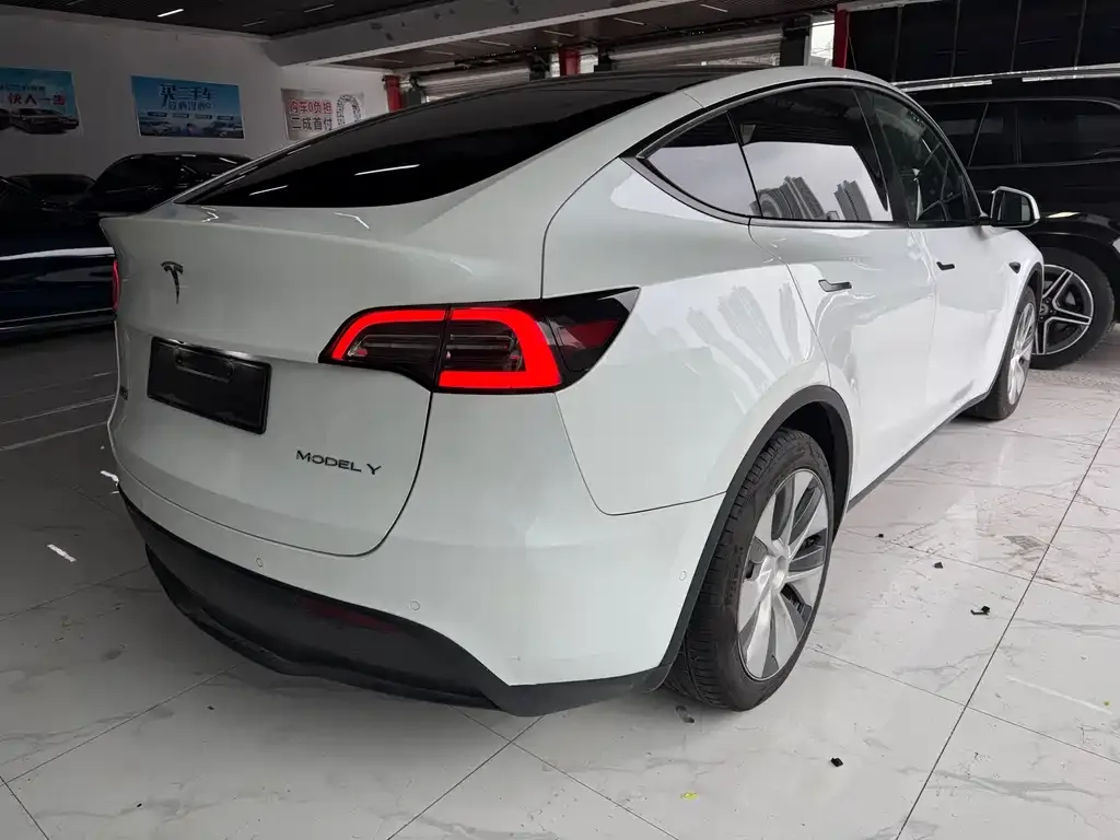 Tesla Model Y — фото 9