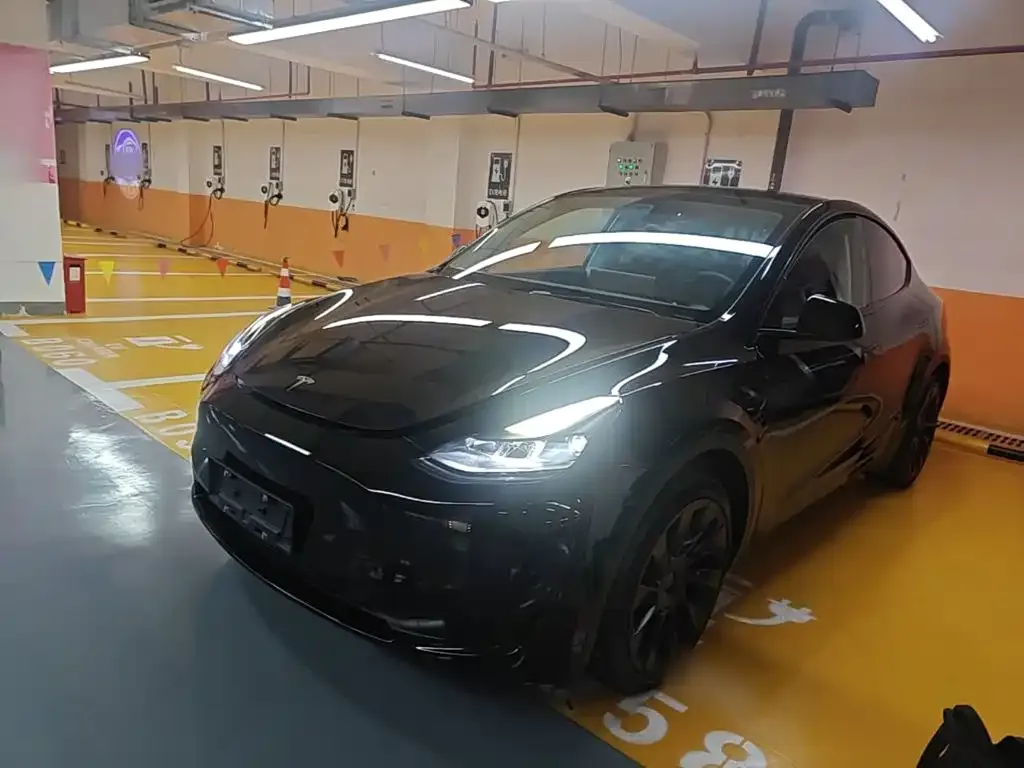 Tesla Model Y — фото 1