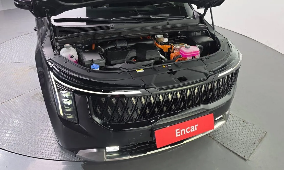 Kia Carnival — фото 10