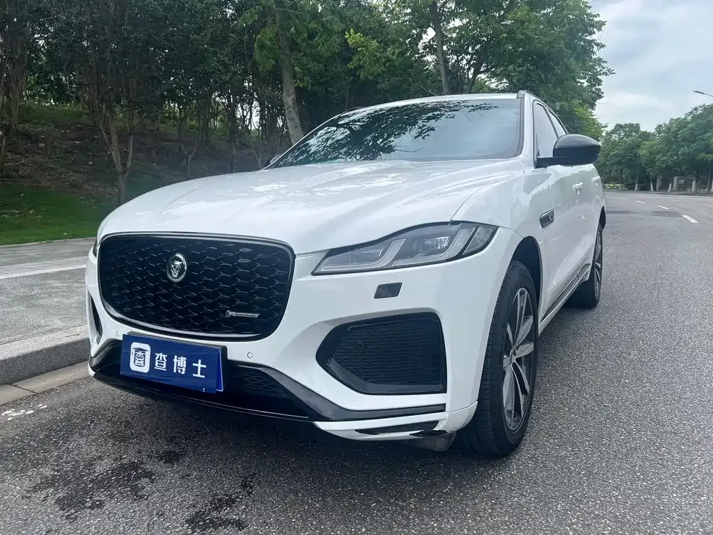Jaguar F-PACE — фото 1