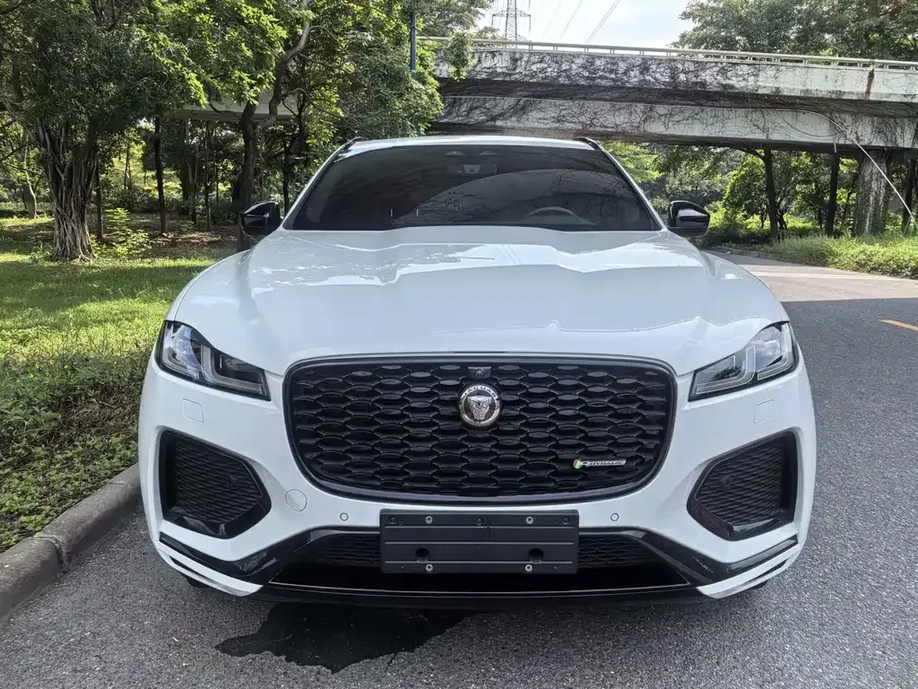 Jaguar F-PACE — фото 10