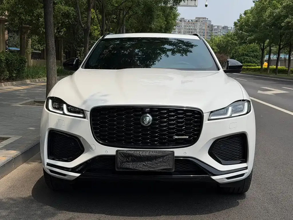 Jaguar F-PACE — фото 10