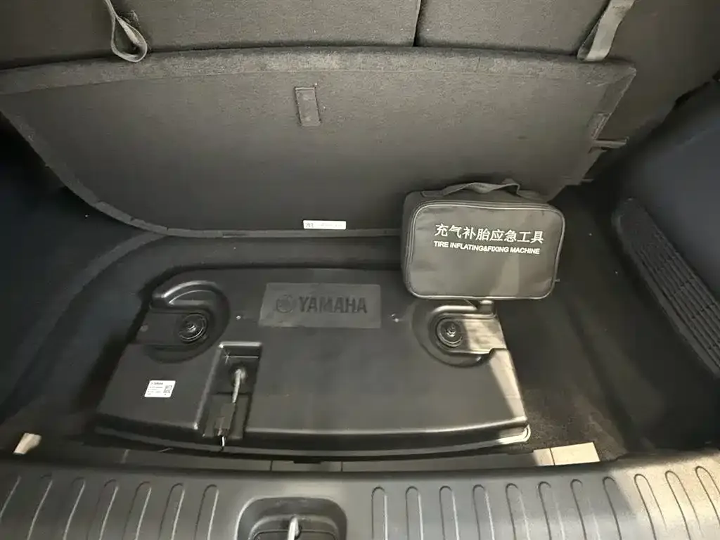 GAC Motor Trumpchi E9 — фото 2