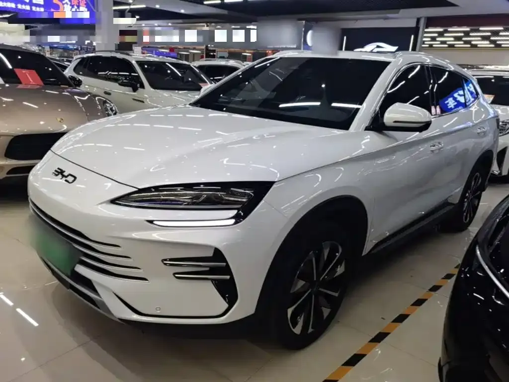 BYD PLUS New Energy — фото 1