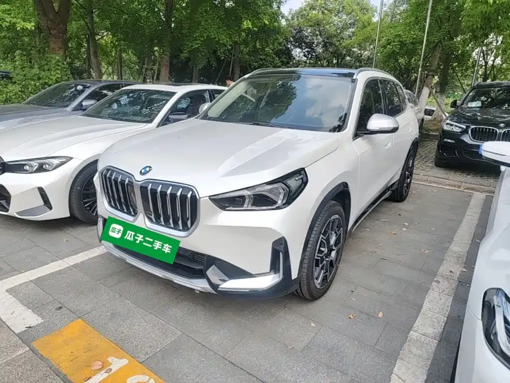BMW X1 — фото 1