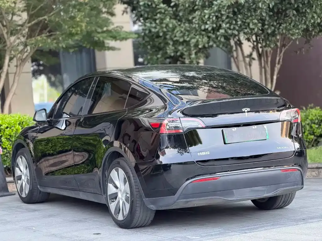 Tesla Model Y — фото 6