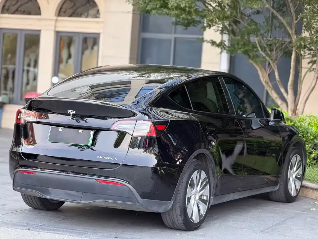 Tesla Model Y — фото 9