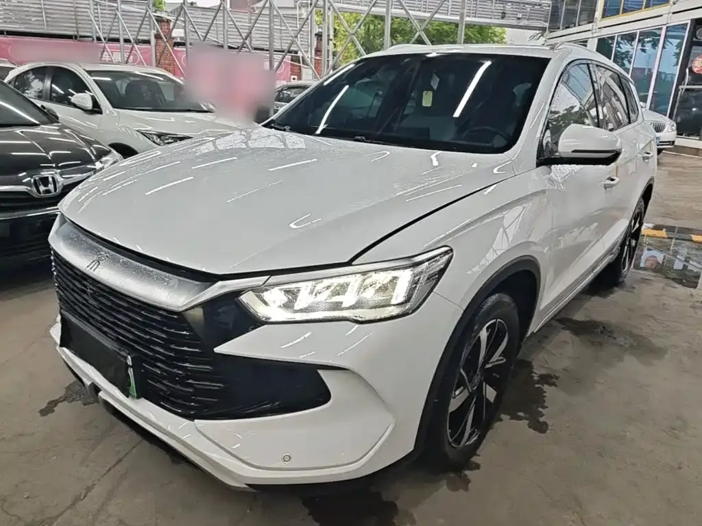 BYD Pro New Energy — фото 6