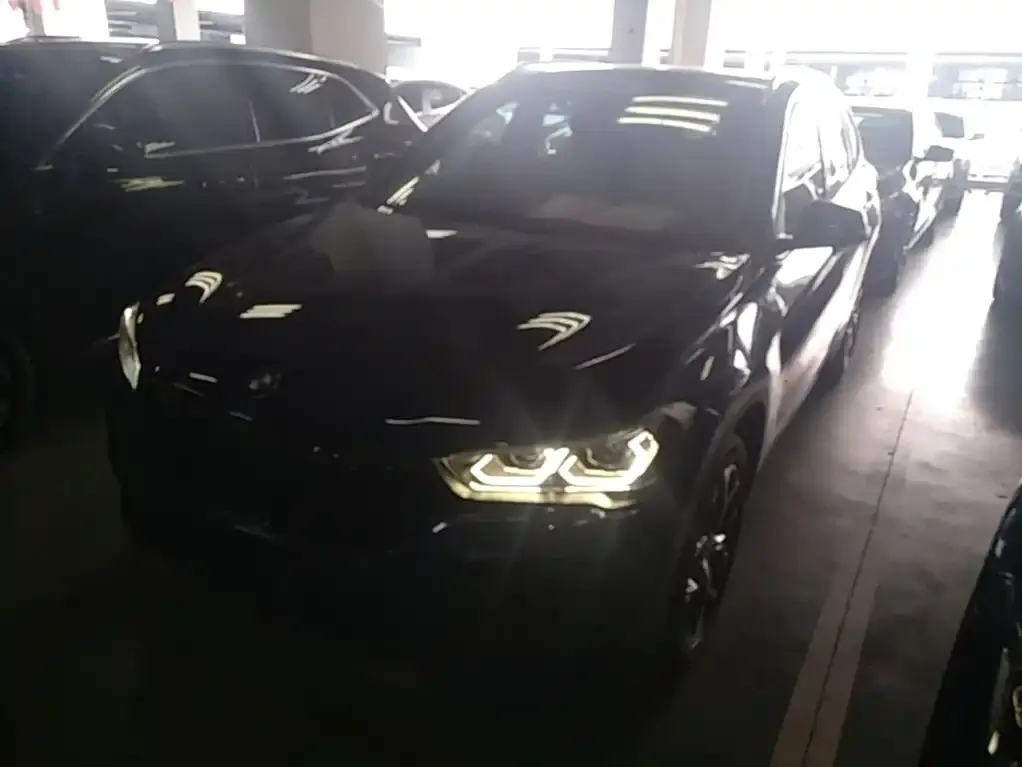 BMW X1 — фото 1
