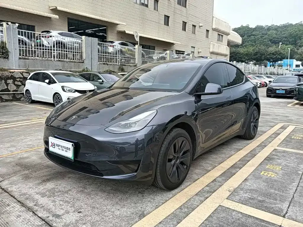 Tesla Model Y — фото 1