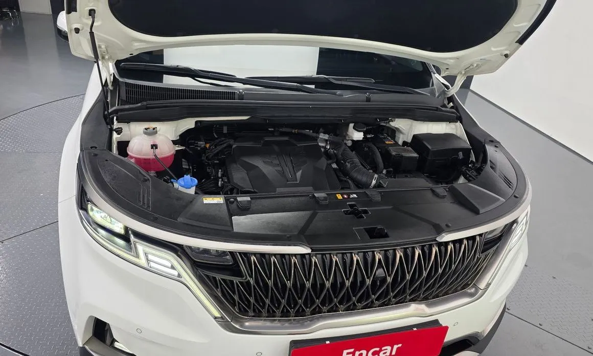 Kia Carnival — фото 10