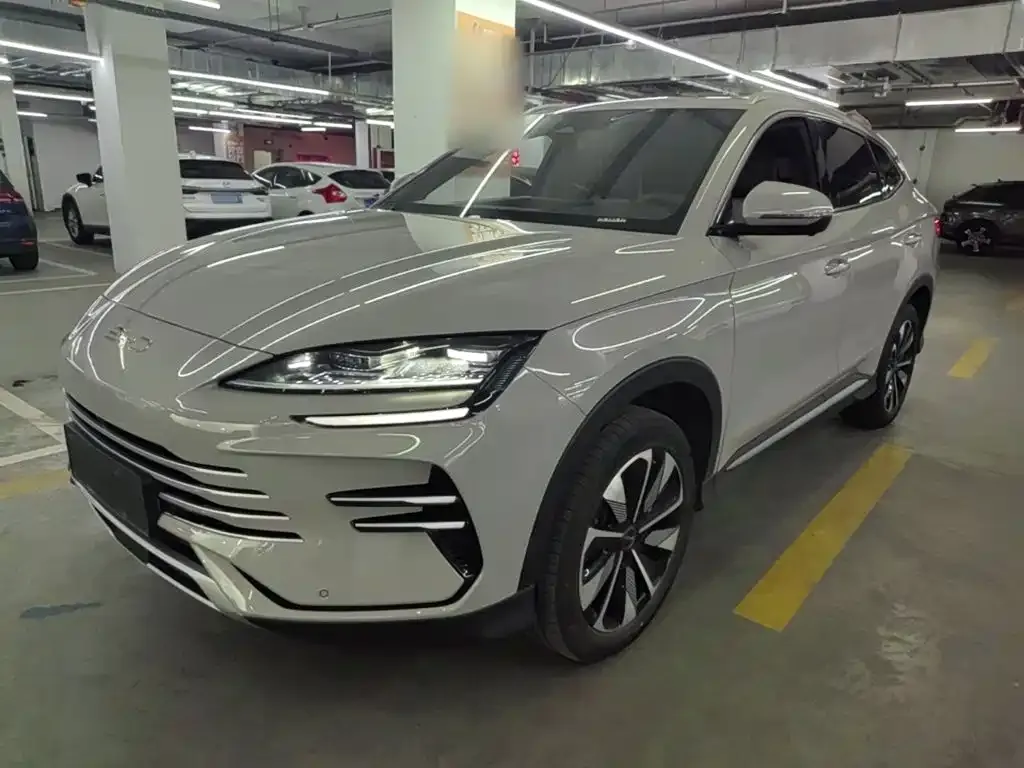 BYD PLUS New Energy — фото 1