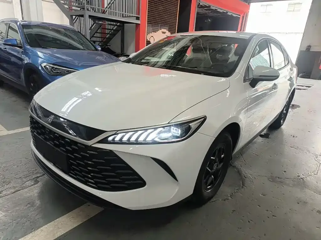 BYD Qin PLUS — фото 1