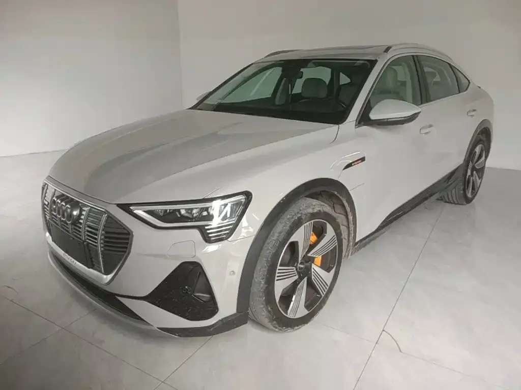 Audi e-tron (Import) — фото 2