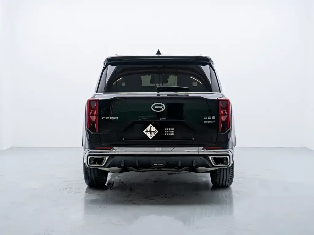 GAC Motor Trumpchi GS8 — фото 2