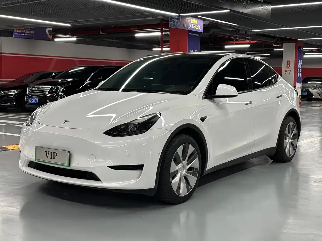 Tesla Model Y — фото 1