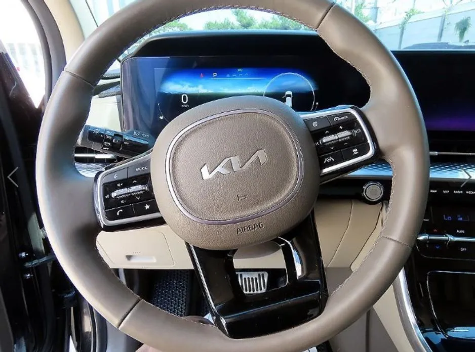 Kia Carnival — фото 10