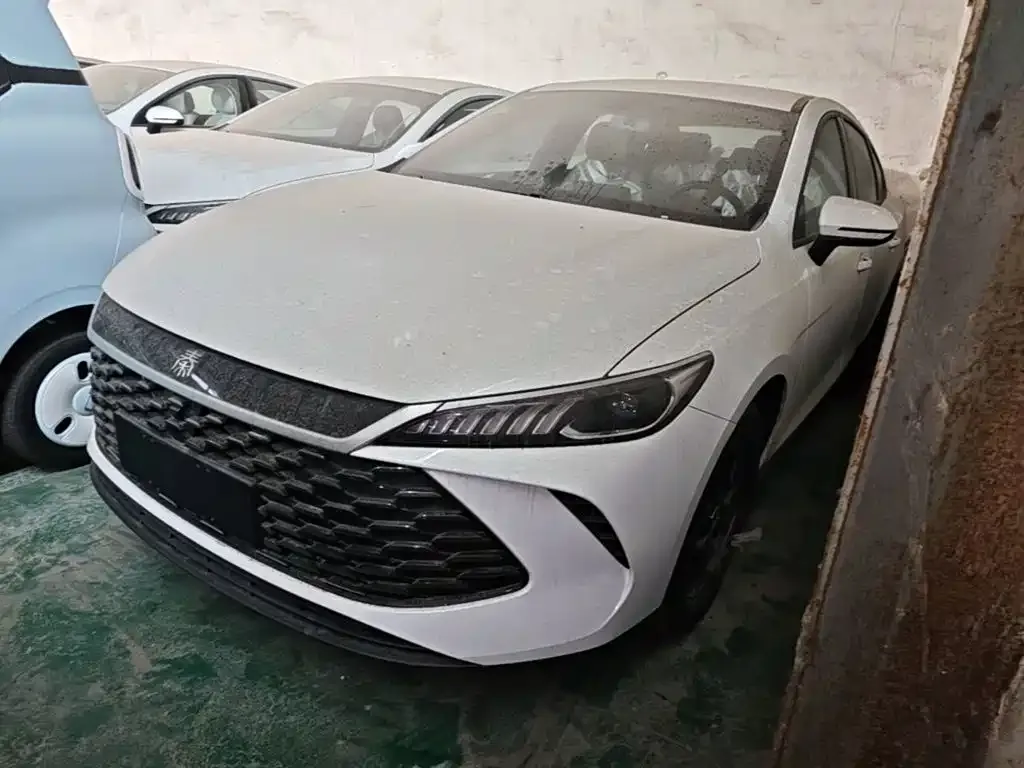 BYD Qin PLUS — фото 1