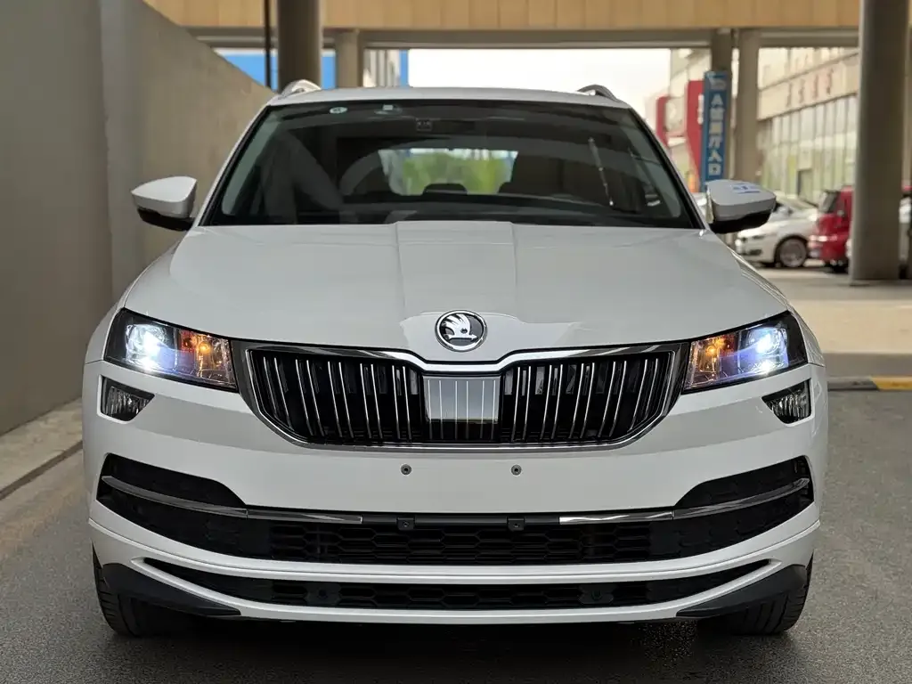 Skoda Karoq — фото 3