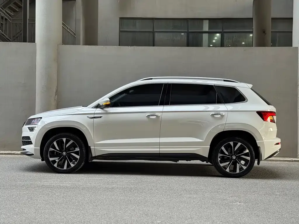 Skoda Karoq — фото 8