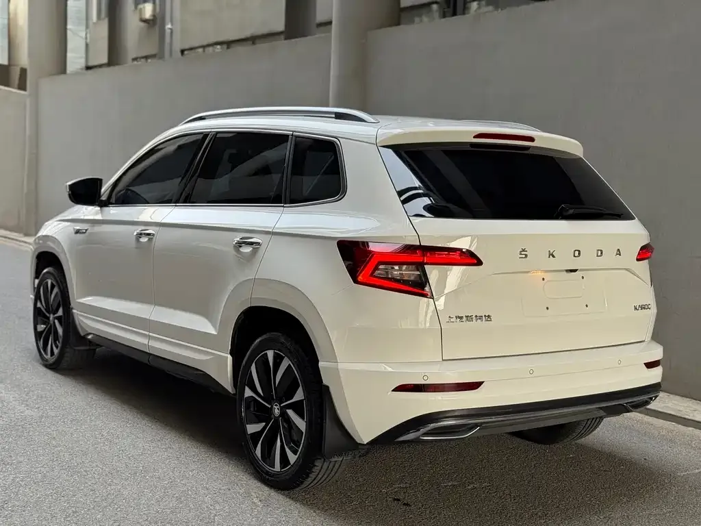 Skoda Karoq — фото 7