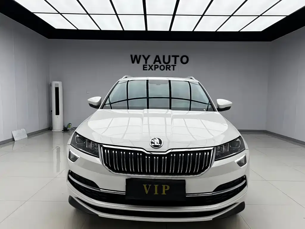 Skoda Karoq — фото 5