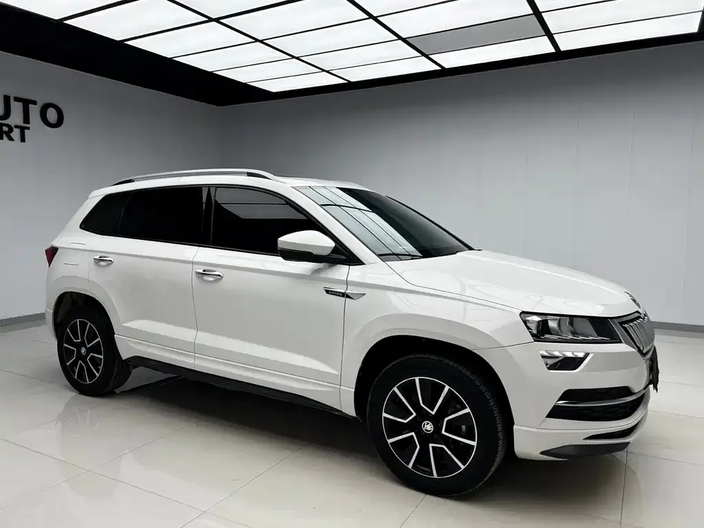 Skoda Karoq — фото 4