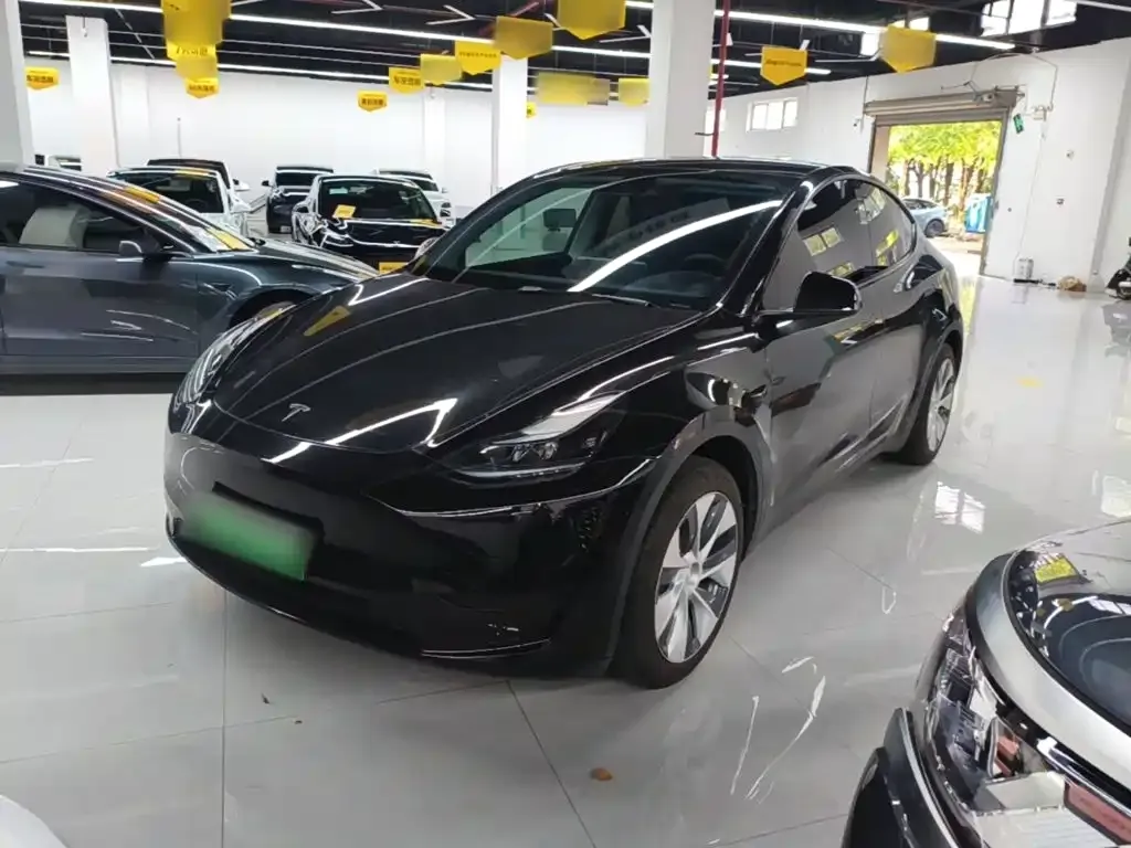 Tesla Model Y — фото 1