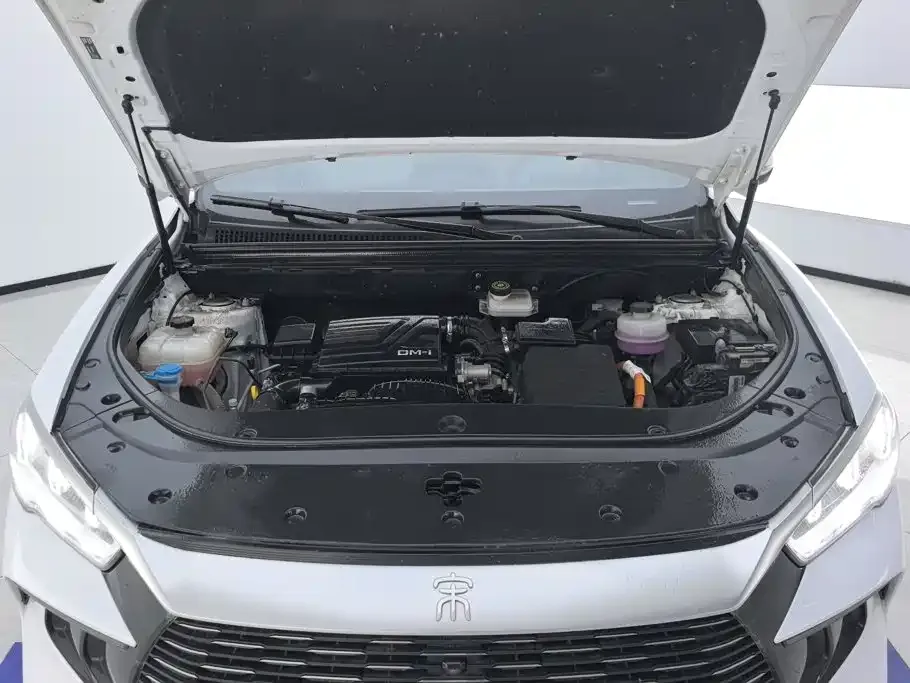 BYD Pro New Energy — фото 9