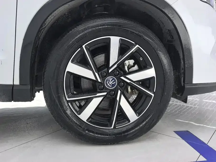 BYD Pro New Energy — фото 10