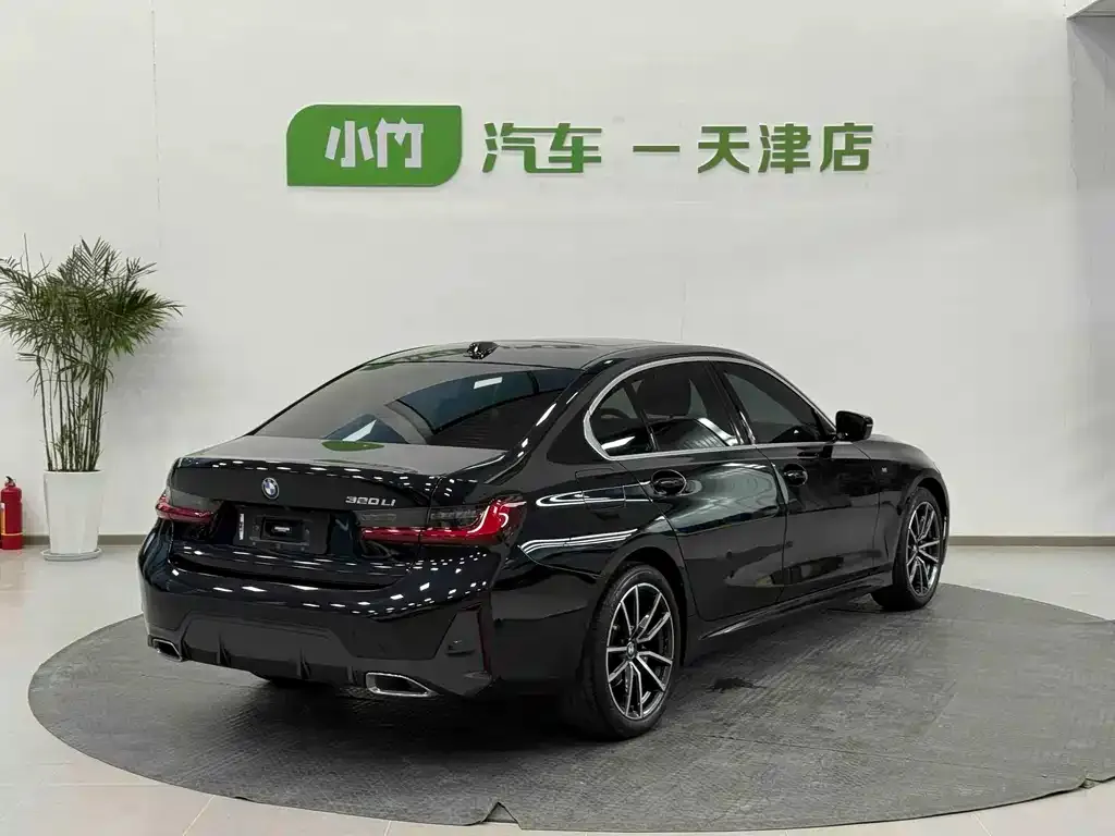 BMW 3 Series — фото 10