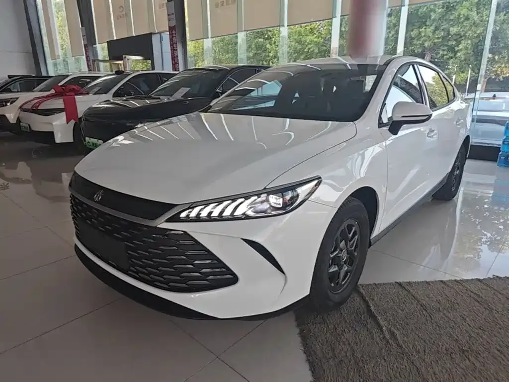 BYD Qin PLUS — фото 1
