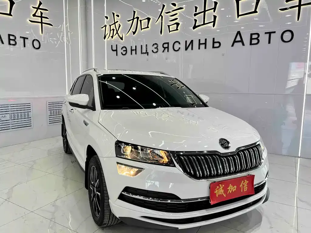 Skoda Karoq — фото 6